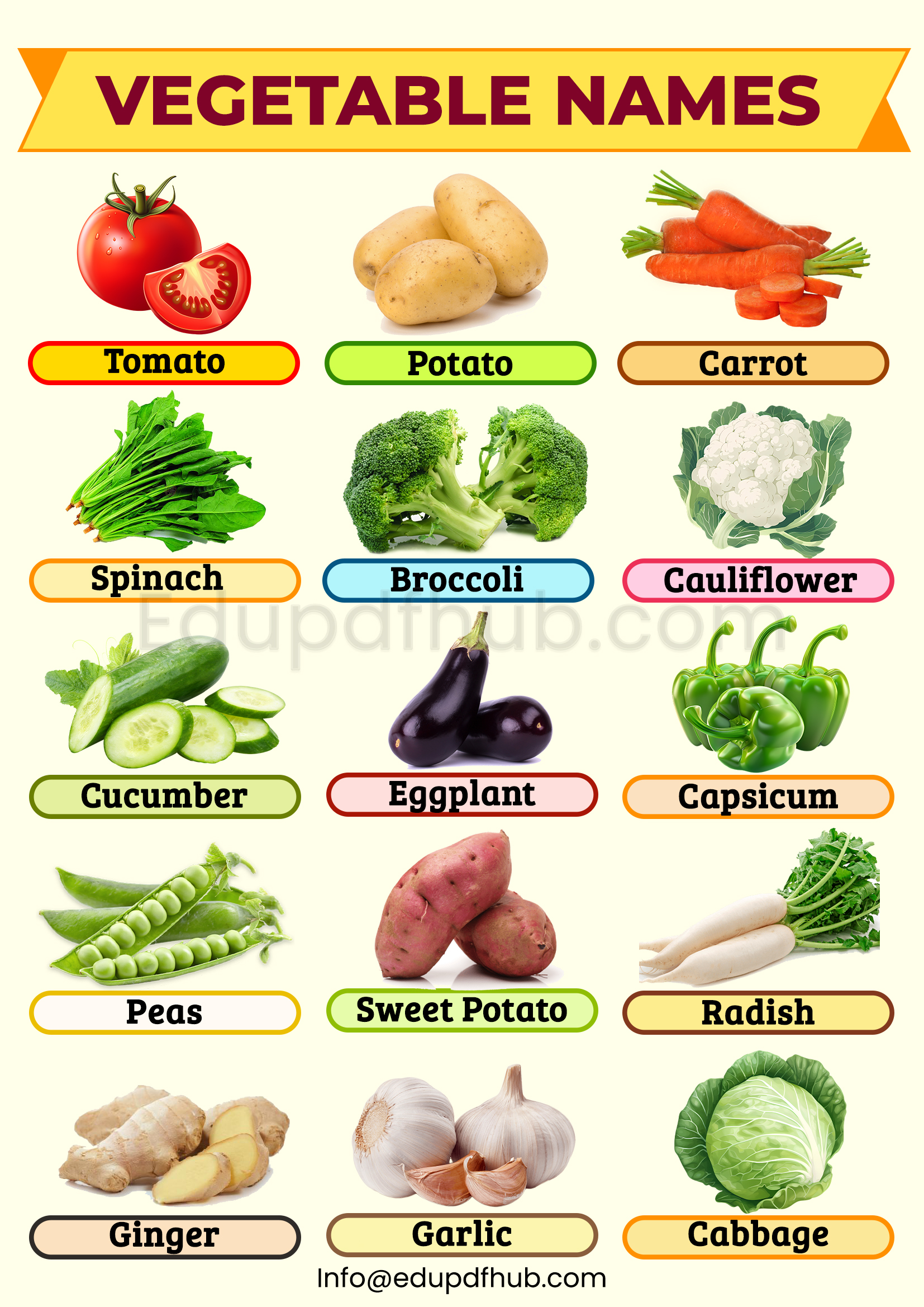 Vegetable Names with Pictures for Kids – Free PDF